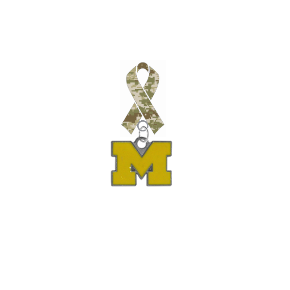Michigan Wolverines Style 3 Salute to Service Military Appreciation Camo Ribbon Lapel Pin