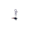 New England Patriots NFL COLOR EDITION Gray Pet Tag Collar Charm
