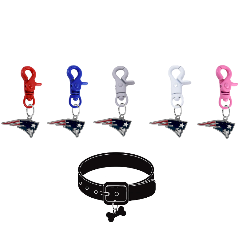 New England Patriots NFL COLOR EDITION Pet Tag Collar Charm