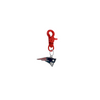 New England Patriots NFL COLOR EDITION Red Pet Tag Collar Charm