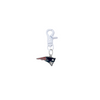 New England Patriots NFL COLOR EDITION White Pet Tag Collar Charm