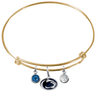 Penn State Nittany Lions GOLD Color Edition Expandable Wire Bangle Charm Bracelet