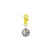 Pittsburgh Steelers NFL COLOR EDITION Gold Pet Tag Collar Charm