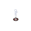 San Francisco 49ers NFL COLOR EDITION White Pet Tag Collar Charm