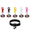 San Francisco 49ers NFL COLOR EDITION Pet Tag Collar Charm