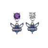 Charlotte Hornets PURPLE & CLEAR Swarovski Crystal Stud Rhinestone Earrings