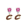 Cleveland Cavaliers Style 2 PINK Swarovski Crystal Stud Rhinestone Earrings