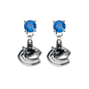 Vancouver Canucks BLUE Swarovski Crystal Stud Rhinestone Earrings