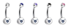Charlotte Hornets Swarovski Classic Style 7/16