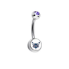 Charlotte Hornets Purple Swarovski Classic Style 7/16