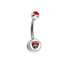 Florida Panthers Swarovski Red Classic Style 7/16