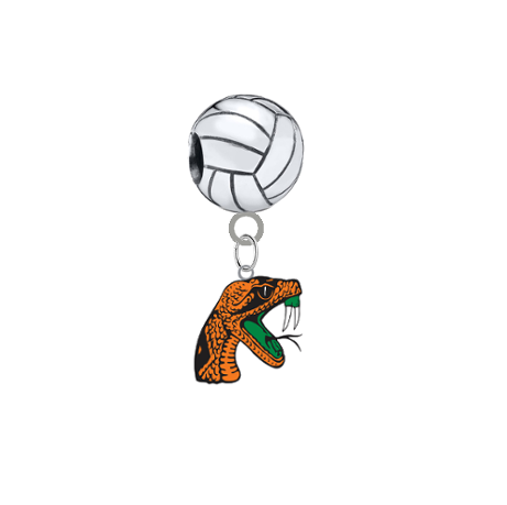 Florida A&M Rattlers Volleyball European Bracelet Charm (Pandora Compatible)