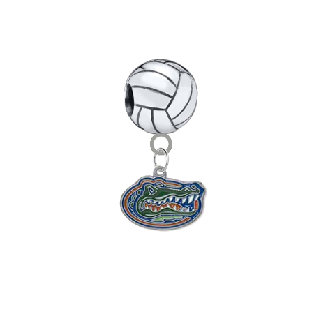 Florida Gators Volleyball Universal European Bracelet Charm