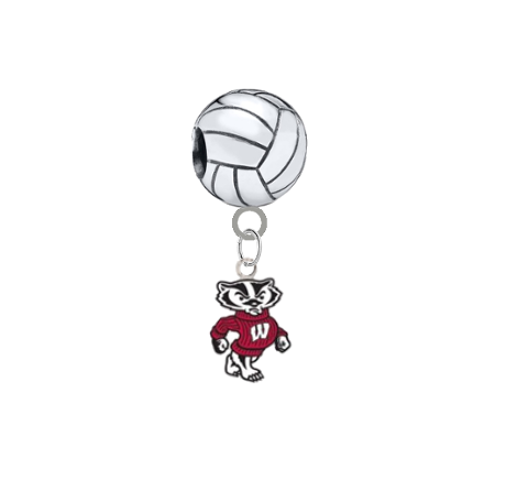 Wisconsin Badgers Mascot Volleyball Universal European Bracelet Charm