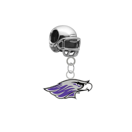 Wisconsin Whitewater Warhawks Football Helmet Universal European Bracelet Charm