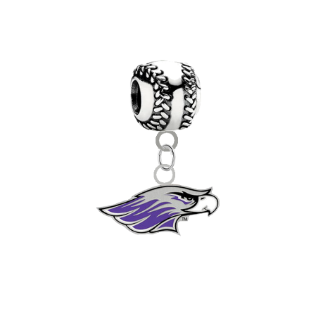 Wisconsin Whitewater Warhawks Softball Universal European Bracelet Charm