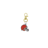Cleveland Browns NFL Gold Pet Tag Dog Cat Collar Charm