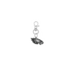 Philadelphia Eagles NFL Silver Pet Tag Dog Cat Collar Charm