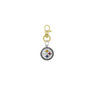 Pittsburgh Steelers NFL Gold Pet Tag Dog Cat Collar Charm