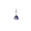 Boise State Broncos Silver Pet Tag Dog Cat Collar Charm