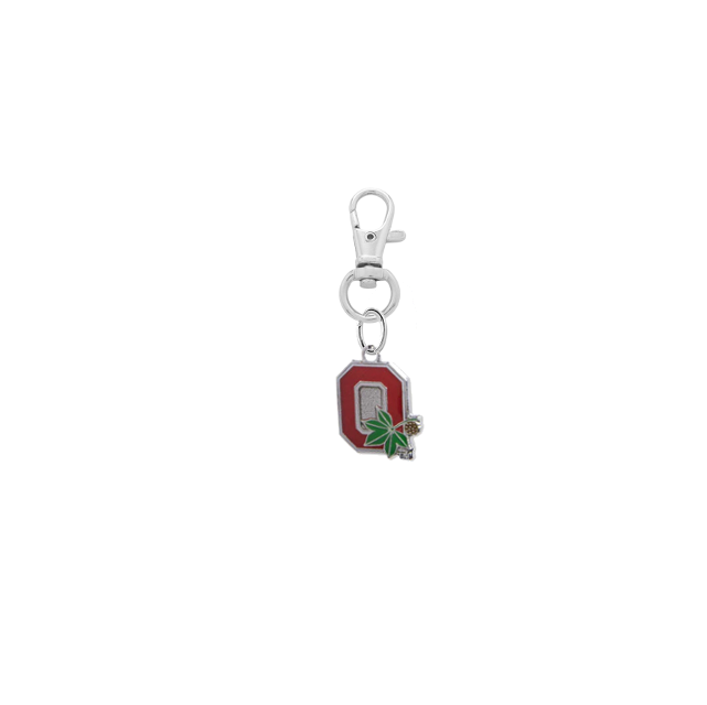 Ohio State Buckeyes 2 Silver Pet Tag Dog Cat Collar Charm
