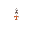 Tennessee Volunteers Bronze Pet Tag Dog Cat Collar Charm
