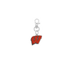 Wisconsin Badgers Silver Pet Tag Dog Cat Collar Charm