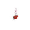 Wisconsin Badgers Rose Gold Pet Tag Dog Cat Collar Charm