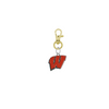 Wisconsin Badgers Gold Pet Tag Dog Cat Collar Charm