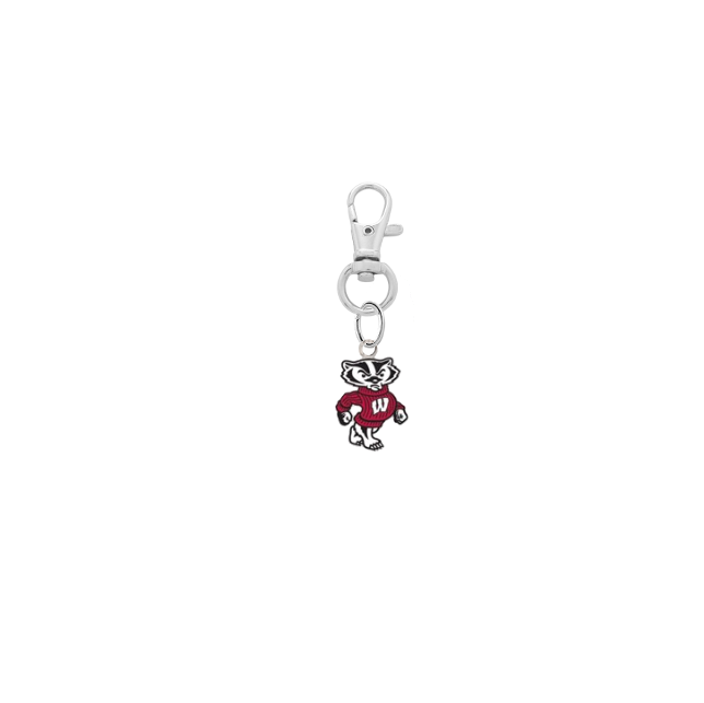 Wisconsin Badgers Mascot Silver Pet Tag Dog Cat Collar Charm