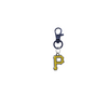 Pittsburgh Pirates Black Pet Tag Dog Cat Collar Charm