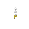Pittsburgh Pirates Silver Pet Tag Dog Cat Collar Charm
