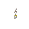 Pittsburgh Pirates Bronze Pet Tag Dog Cat Collar Charm