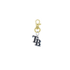 Tampa Bay Rays Style 2 Gold Pet Tag Dog Cat Collar Charm