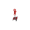 Tampa Bay Buccaneers Red NFL COLOR EDITION Pet Tag Dog Cat Collar Charm