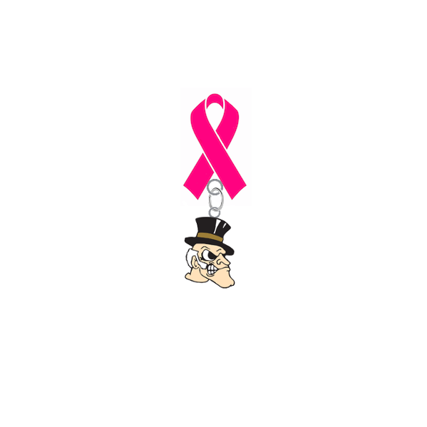 Wake Forest Demon Deacons Breast Cancer Awareness / Mothers Day Pink Ribbon Lapel Pin