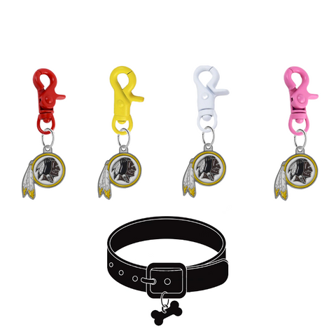 Washington Redskins NFL COLOR EDITION Pet Tag Collar Charm