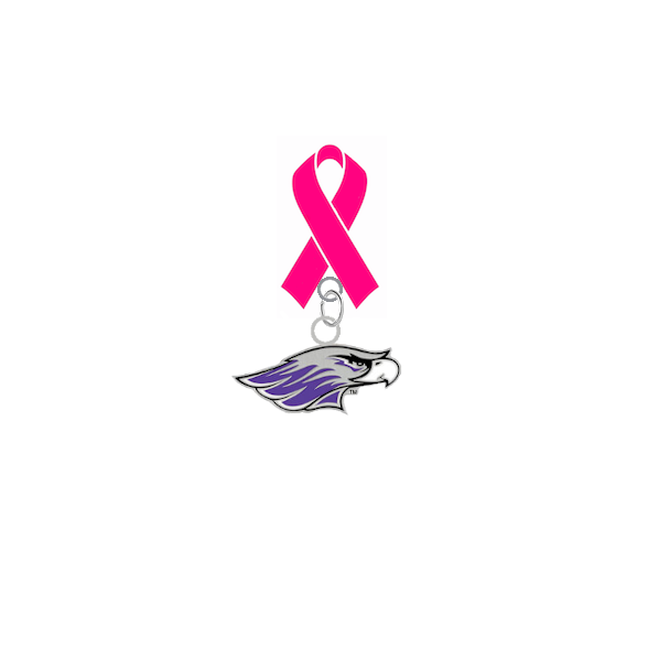 Wisconsin Whitewater Warhawks Mascot Breast Cancer Awareness / Mothers Day Pink Ribbon Lapel Pin