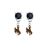 Wyoming Cowboys BLACK Swarovski Crystal Stud Rhinestone Earrings